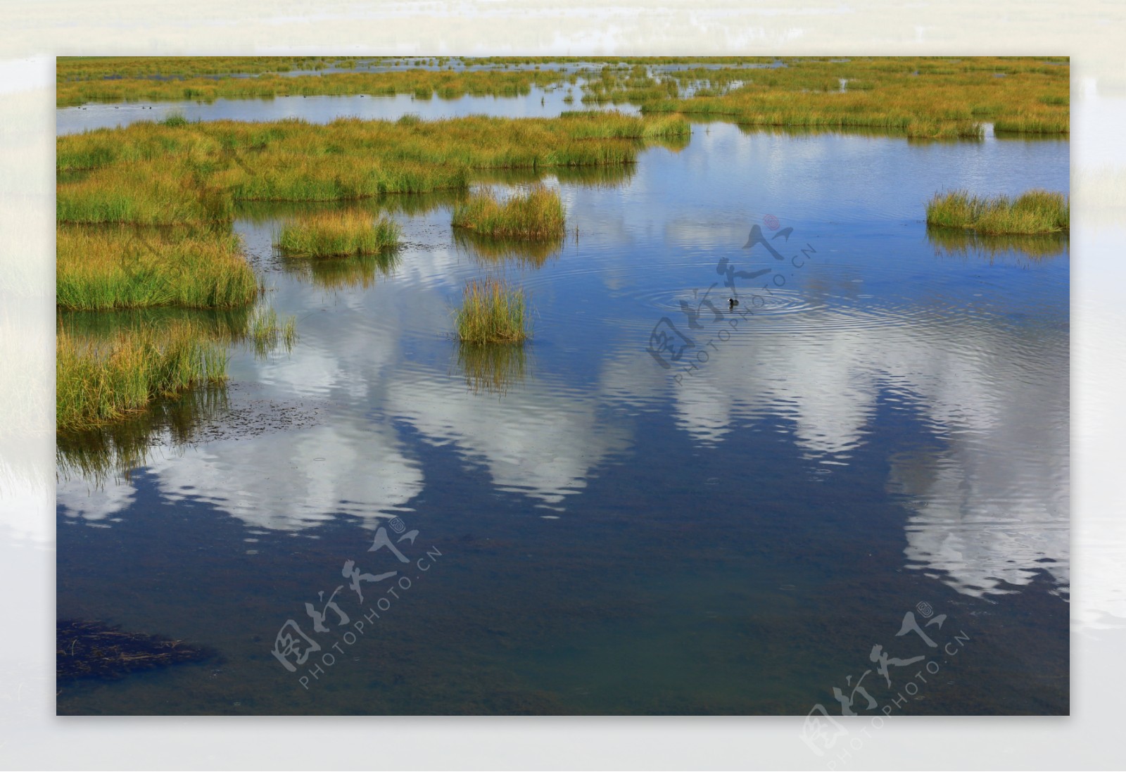 四川花湖风景