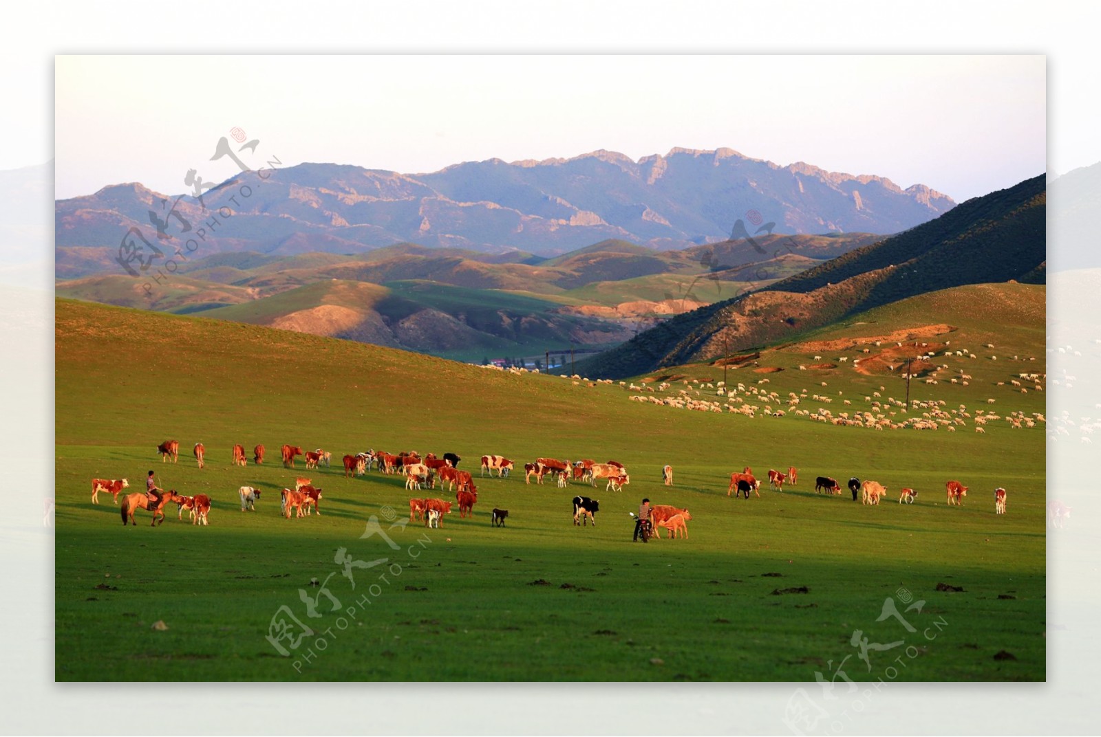 内蒙古扎鲁特风景