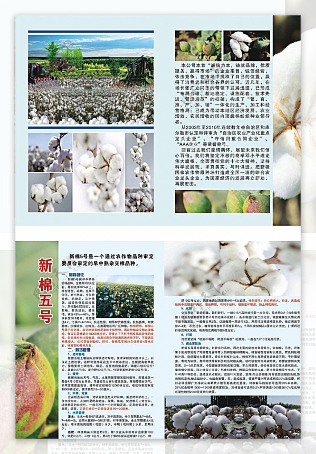 棉花宣传单宣传册彩页图片