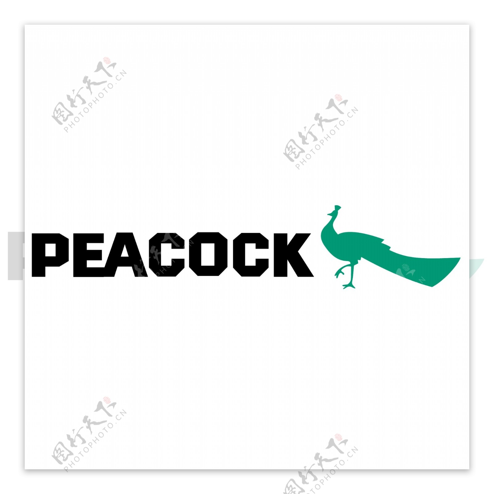 PEACOCK创意简约logo设计