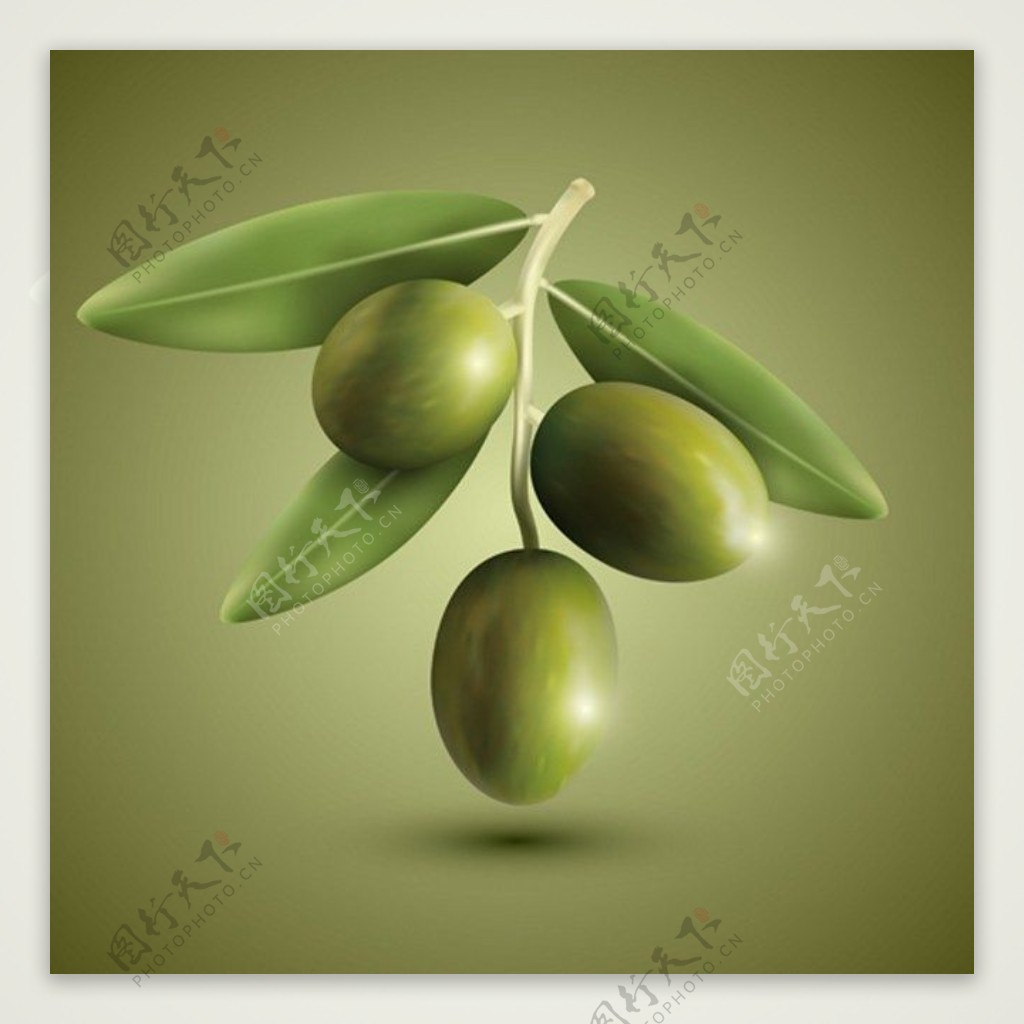 橄榄水果背景素材
