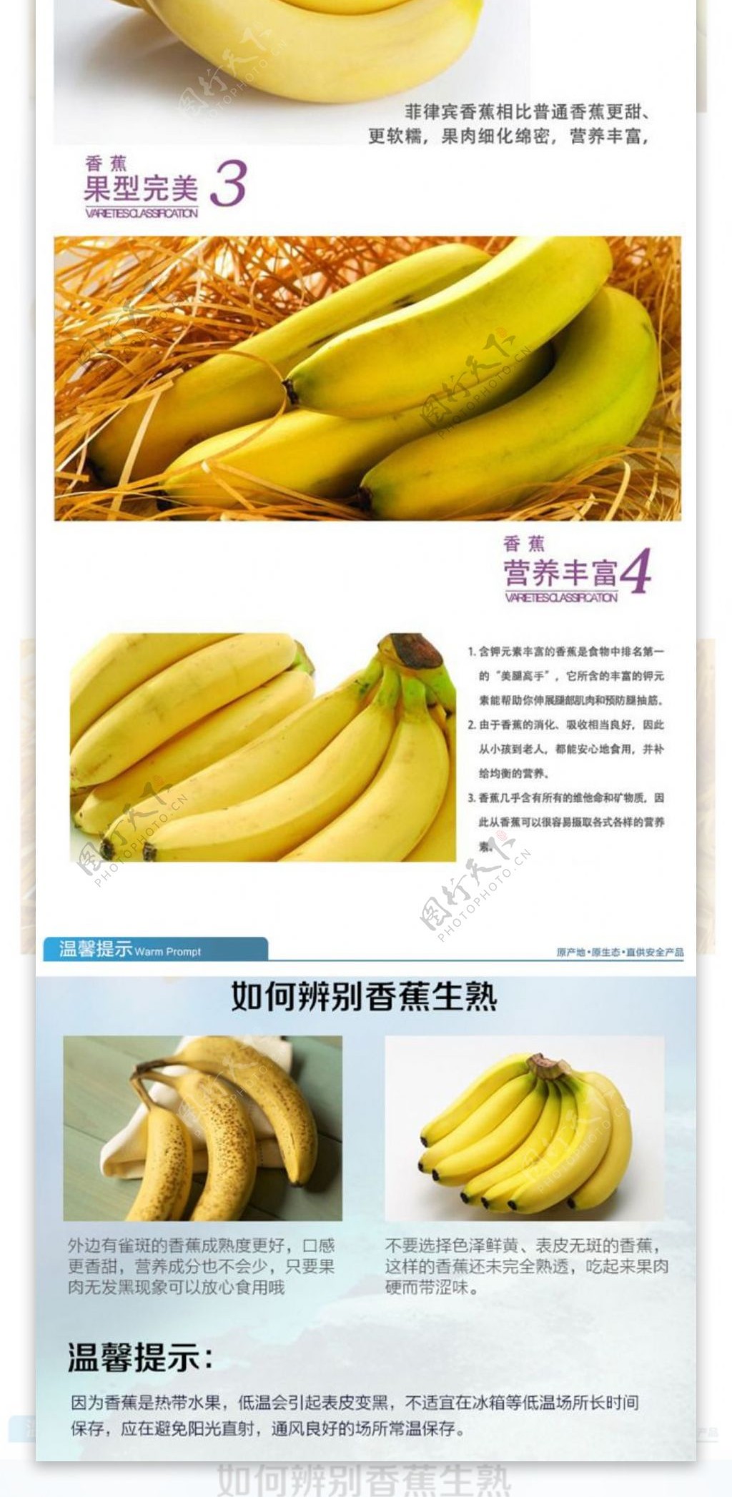 进口香蕉详情页