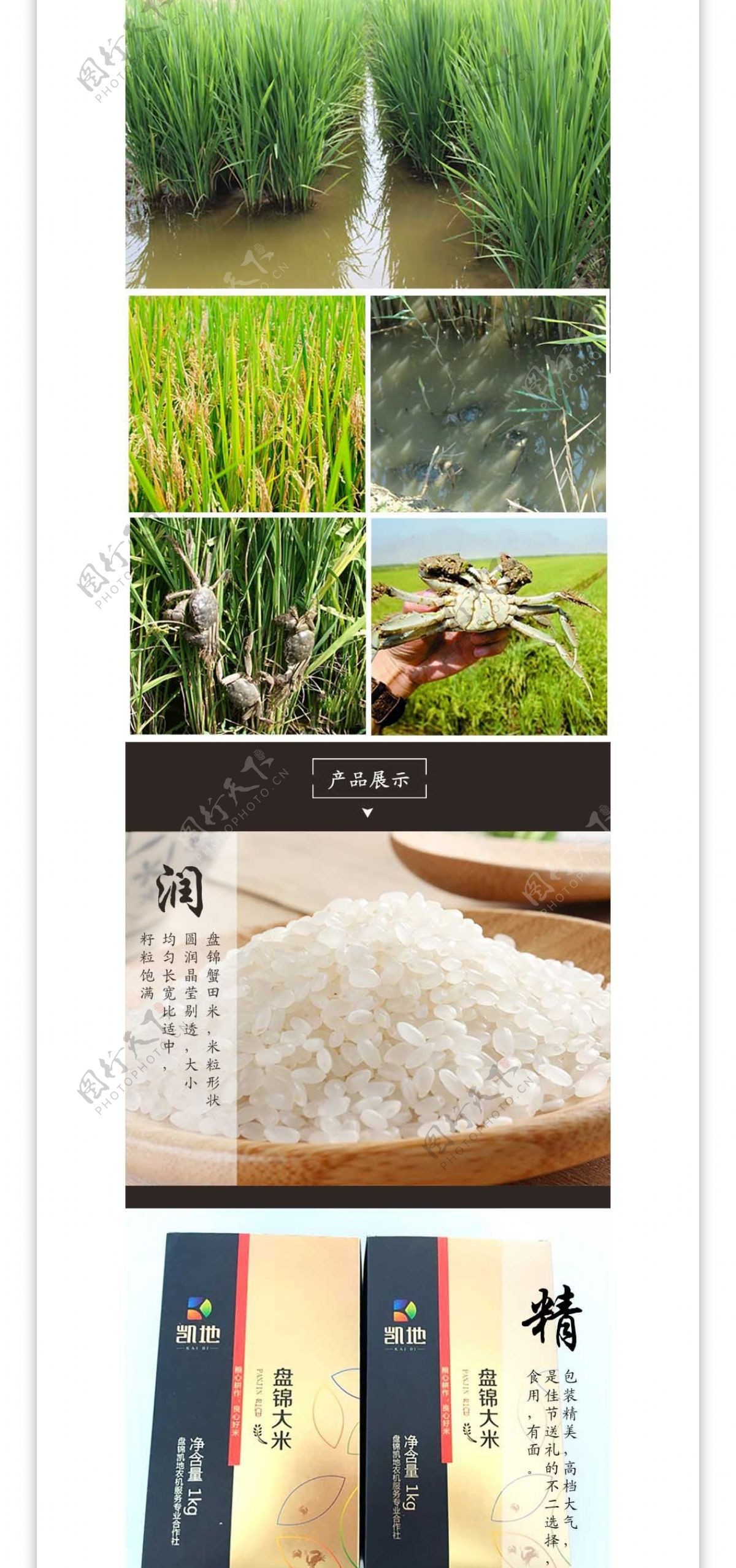 盘锦大米食品类淘宝详情