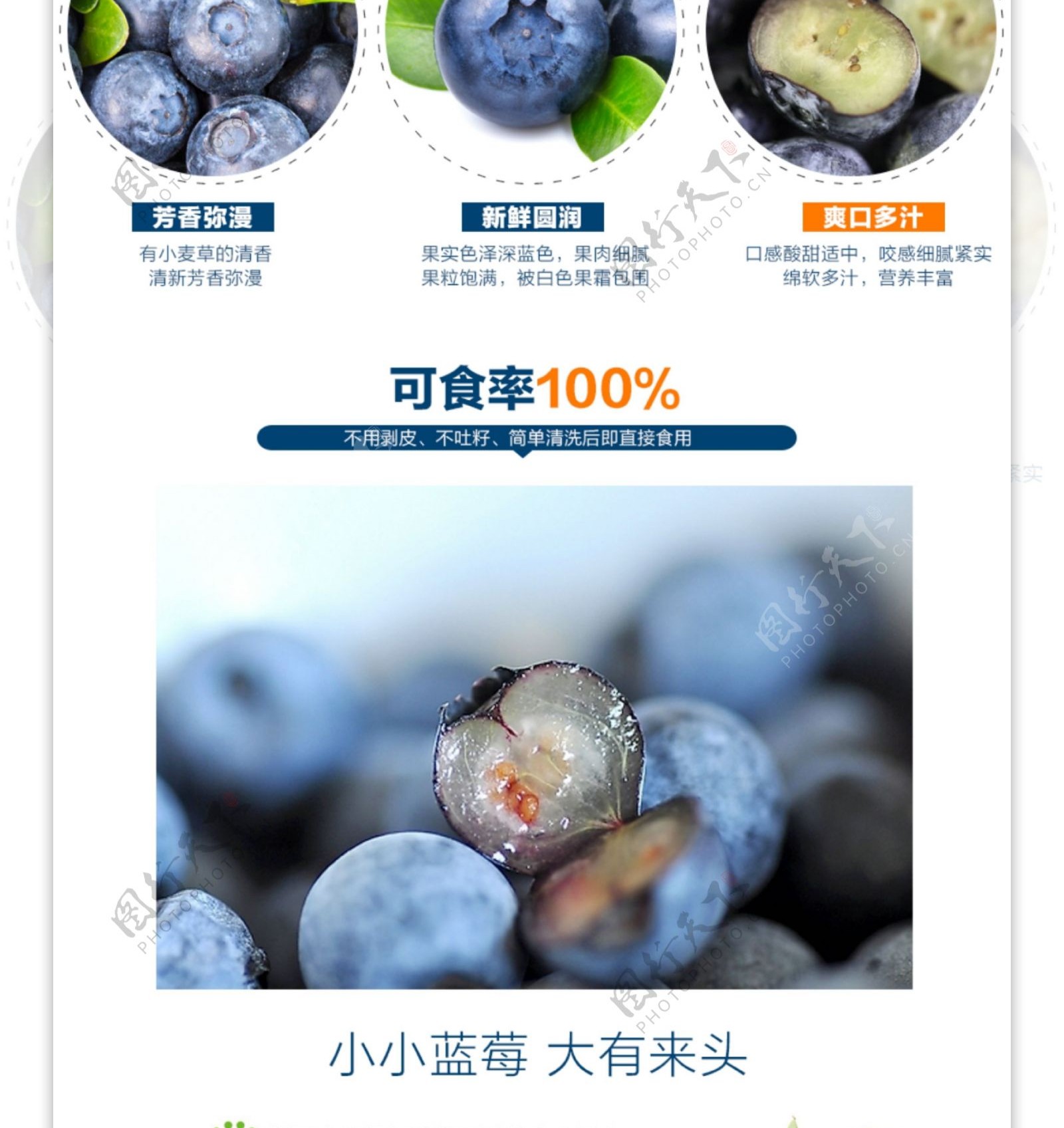 水果蓝莓详情页