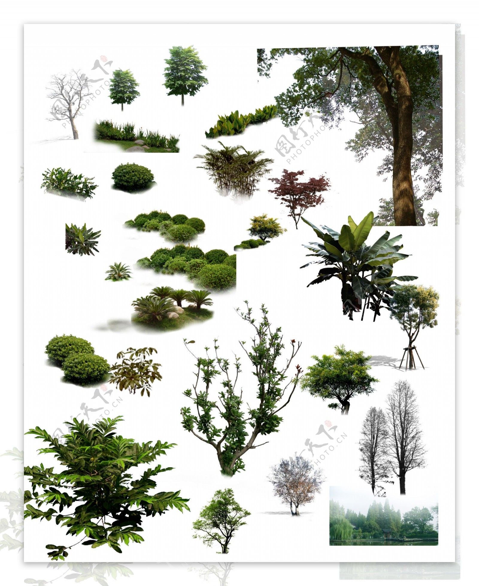 PS后期设计植物树木树