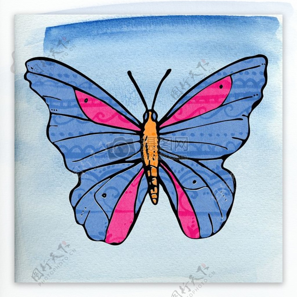蓝色翅膀的蝴蝶