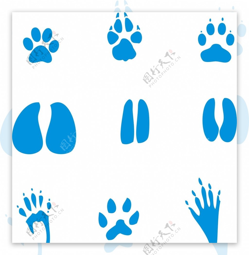 动物脚印图片素材-编号08305374-图行天下
