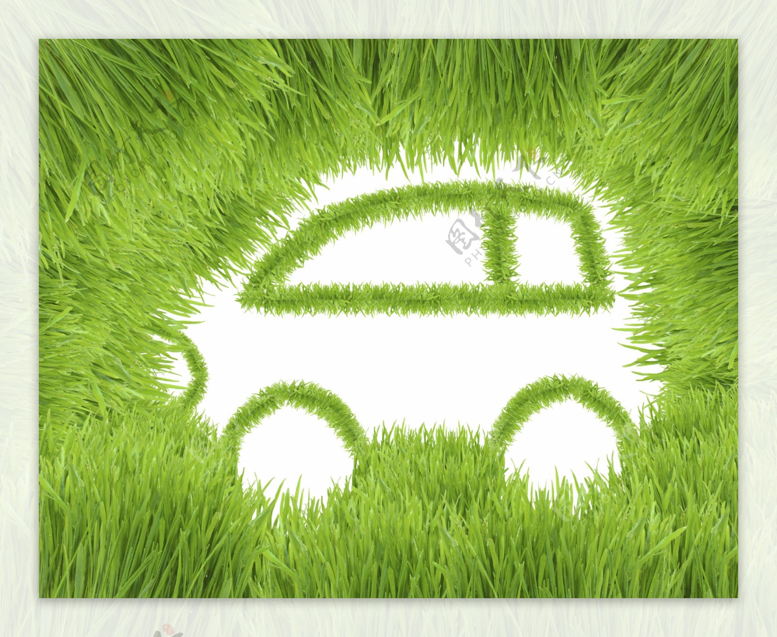 绿色草地汽车图片