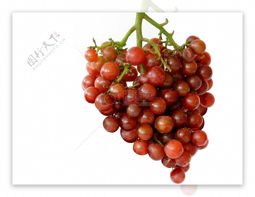 一串红色的葡萄