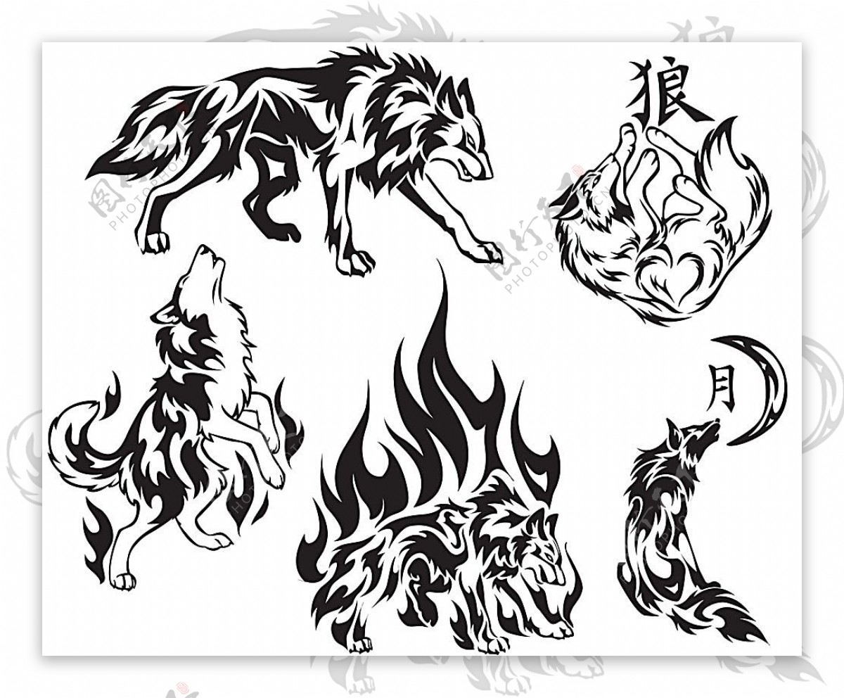 黑灰写实狼纹身图案