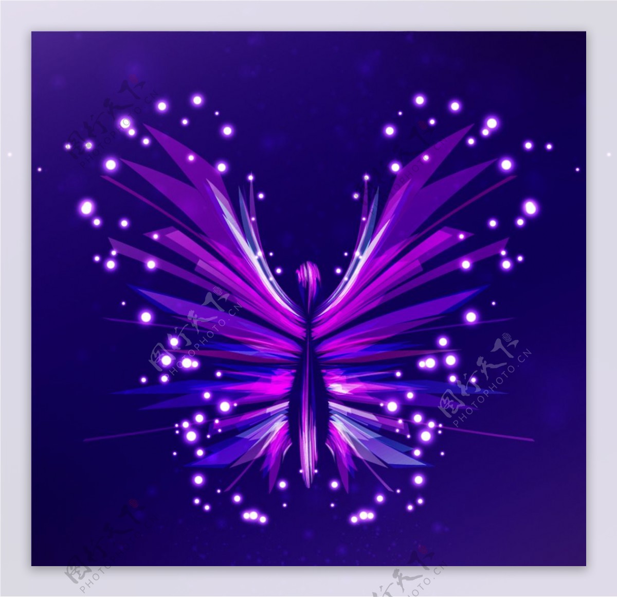 紫色梦幻蝴蝶矢量图