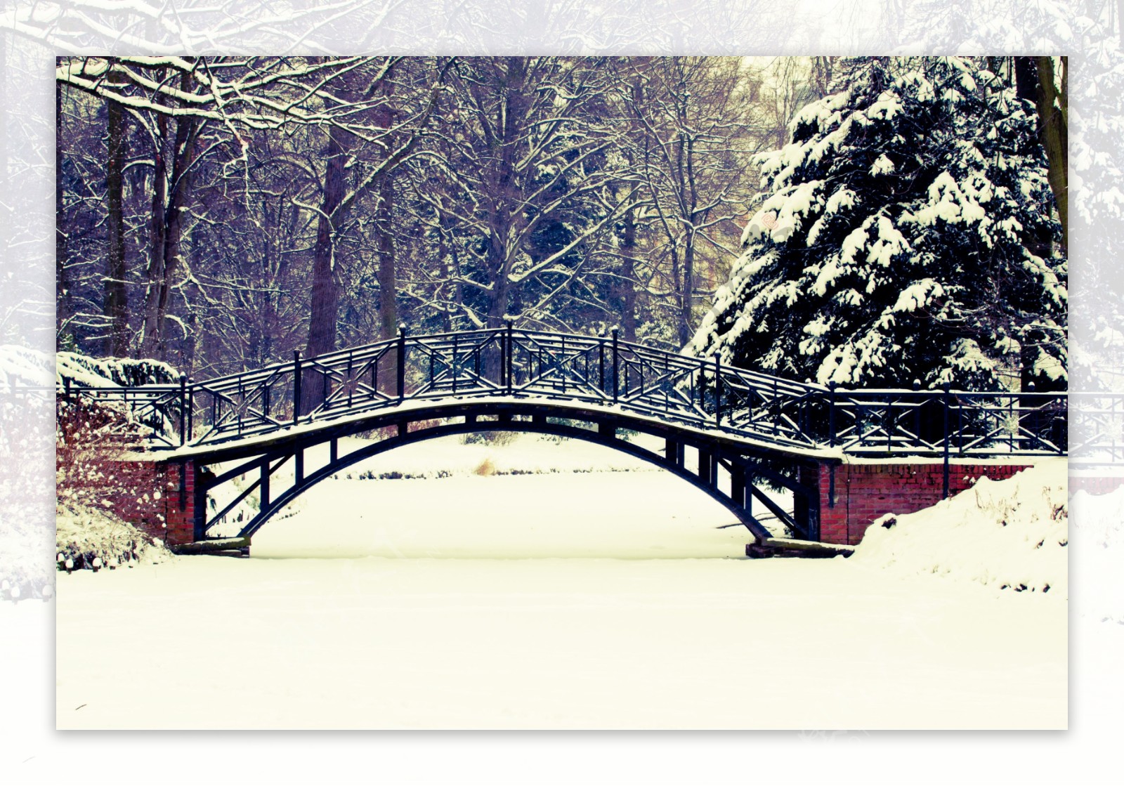 美丽小桥与雪松图片