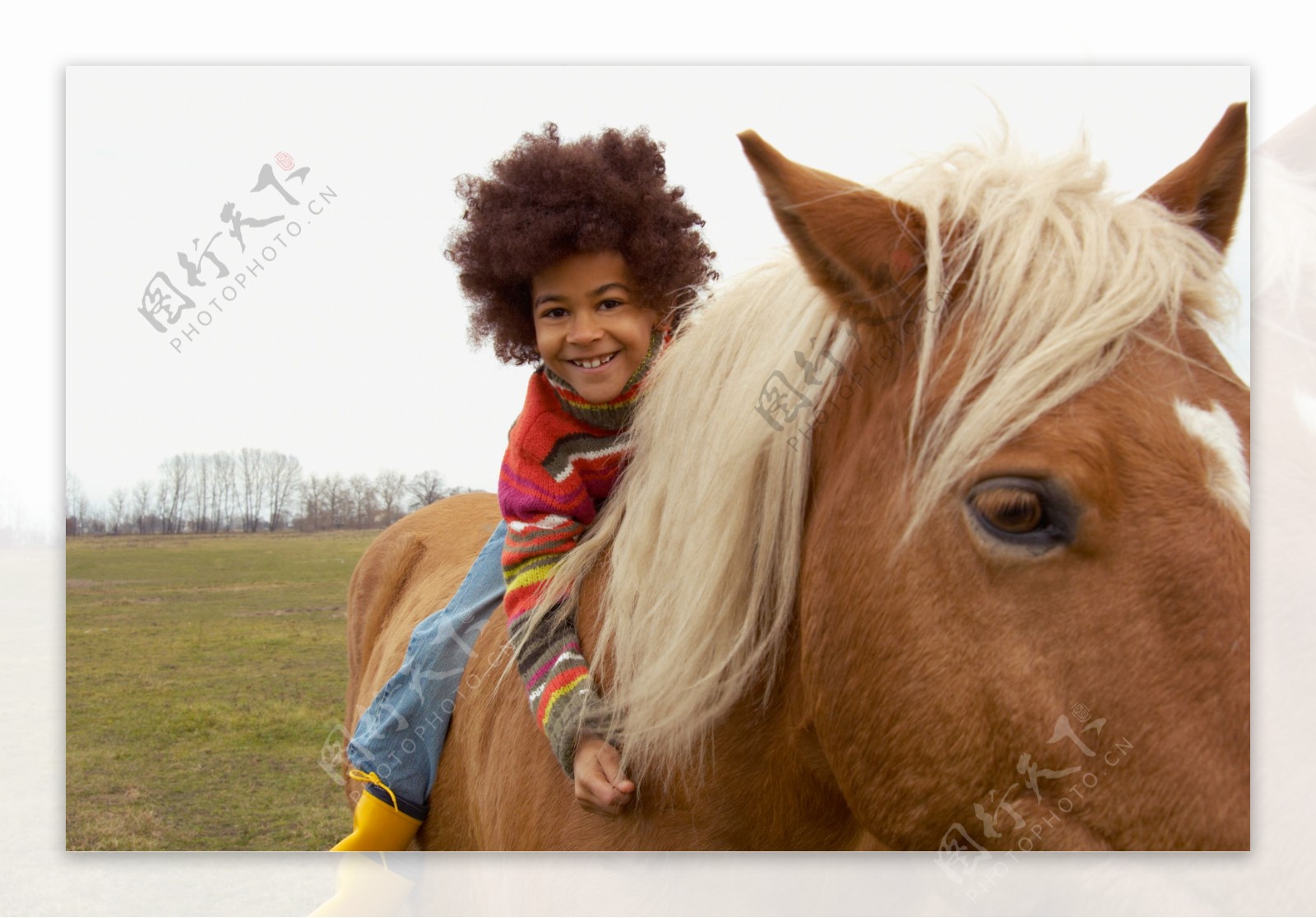 骑马的儿童图片