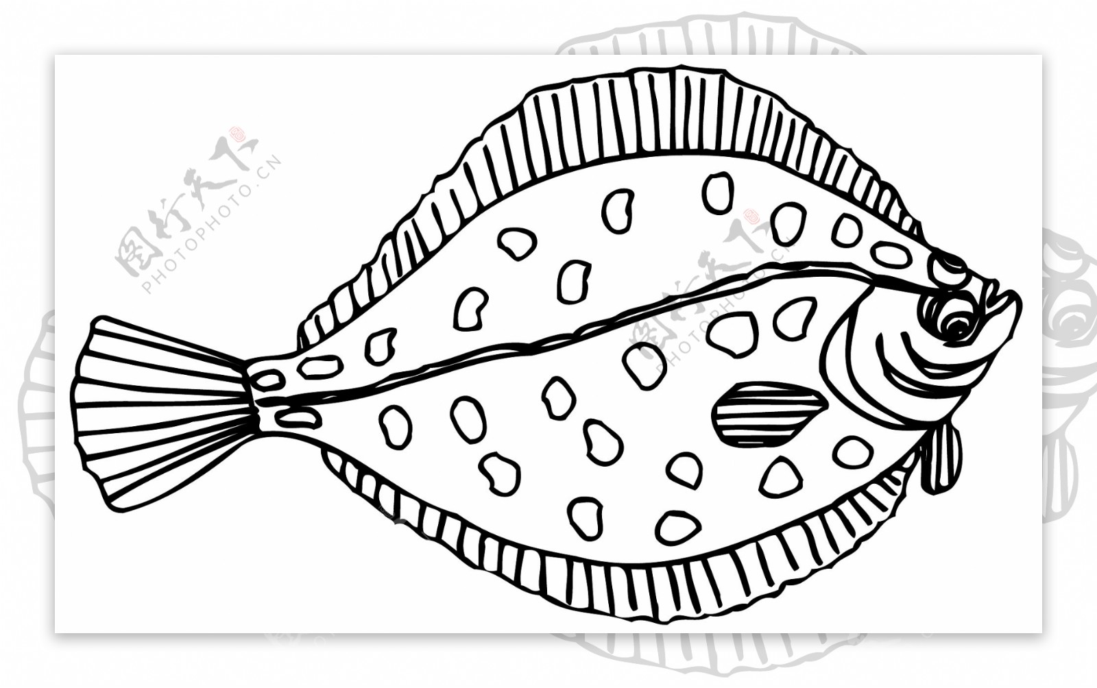 五彩小鱼水生动物矢量素材EPS格式0206