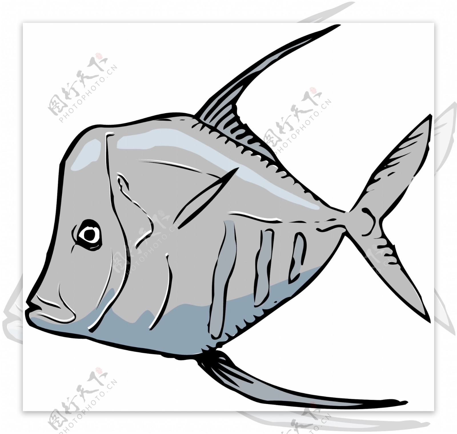 五彩小鱼水生动物矢量素材EPS格式0256