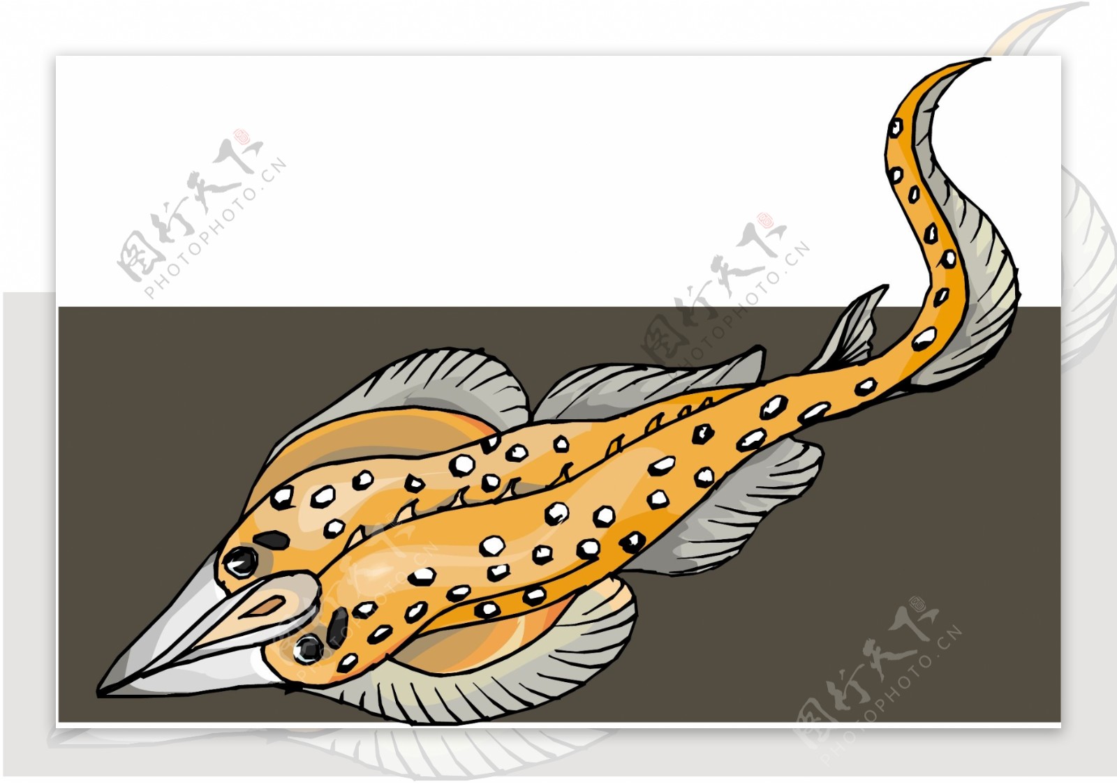 五彩小鱼水生动物矢量素材EPS格式0401