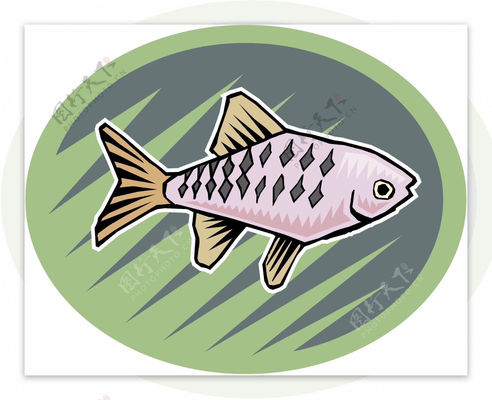 五彩小鱼水生动物矢量素材EPS格式0507