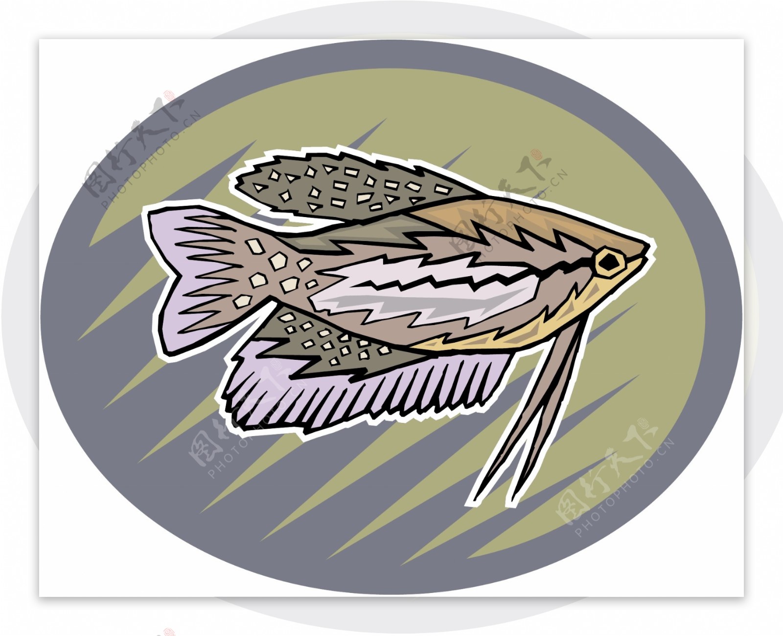 五彩小鱼水生动物矢量素材EPS格式0716