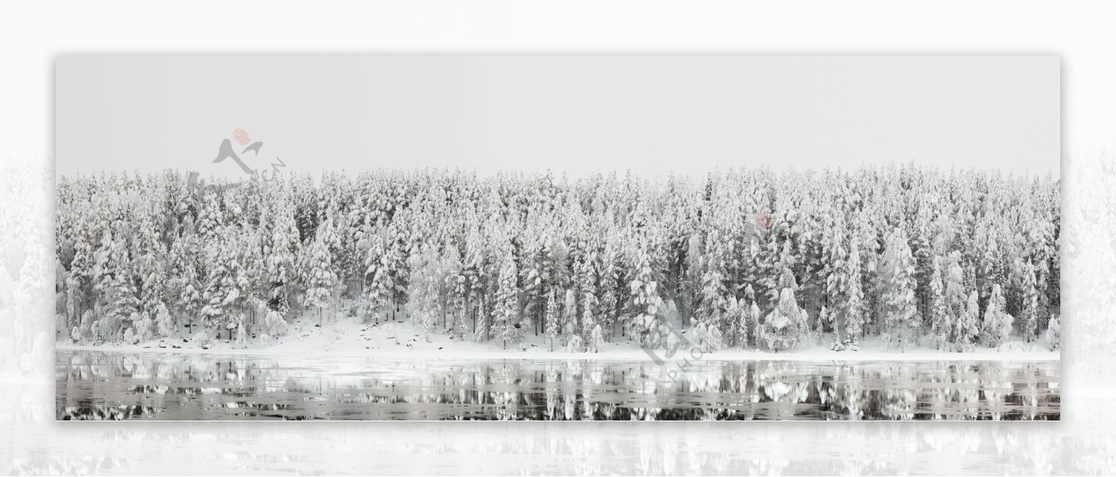 美丽森林湖泊雪景图片