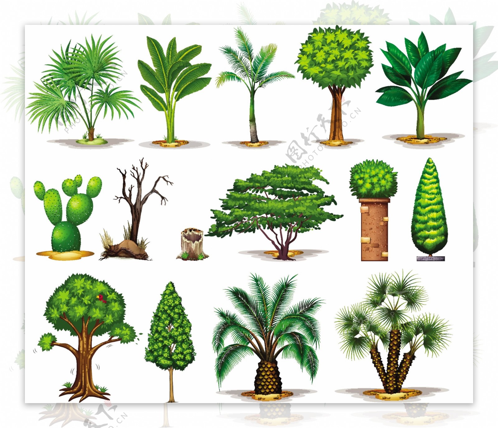 不同类型的树木插图