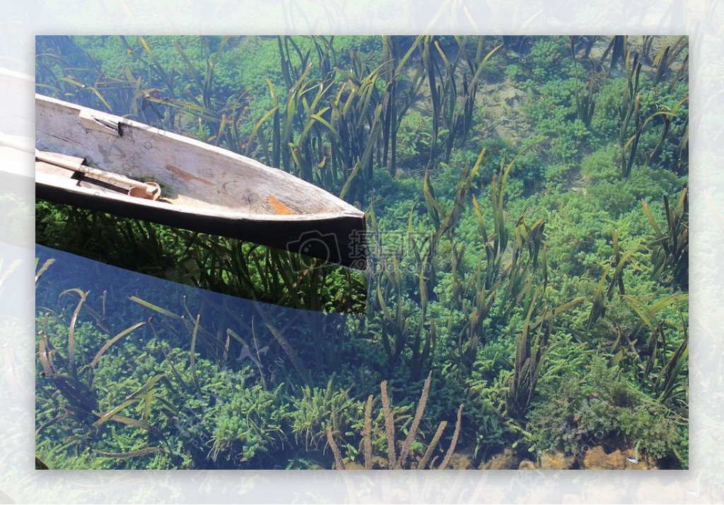 水独木舟清澈水藻类