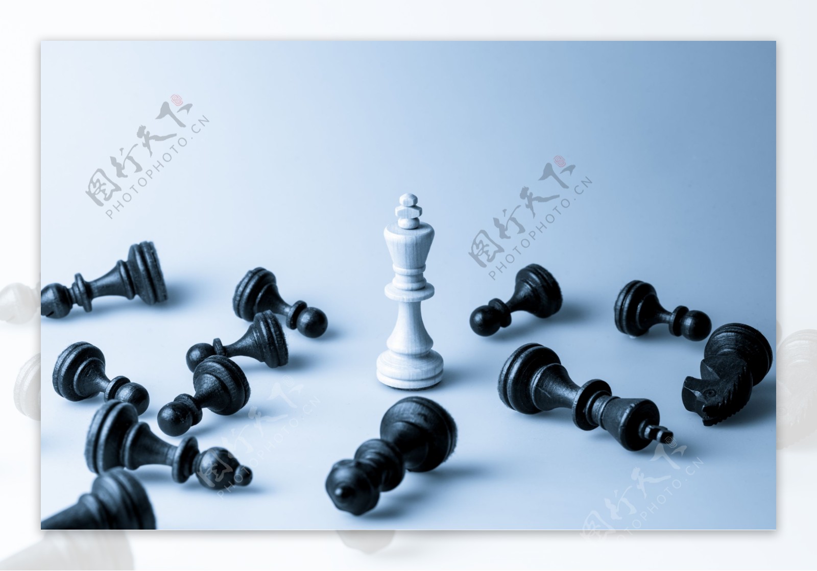 中间站立的国际象棋图片
