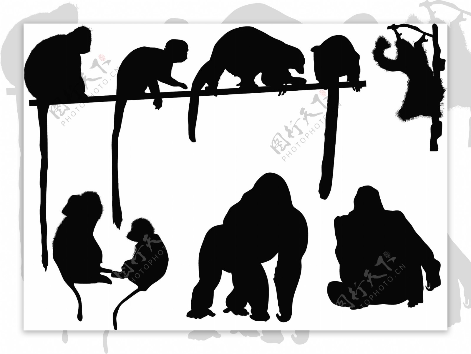 黑色疯狂猴子 向量例证. 插画 包括有 耳朵, 逗人喜爱, 线路, 肢体, 结构树, 说明, 夹子, 叶子 - 3442748