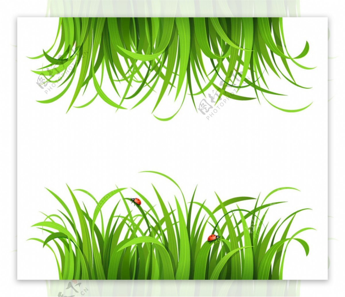 绿色草地瓢虫设计矢量素材