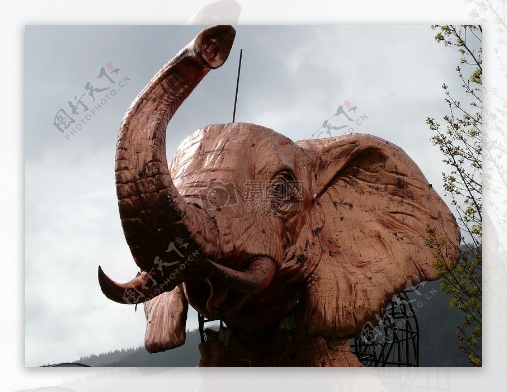 雕刻的大象头