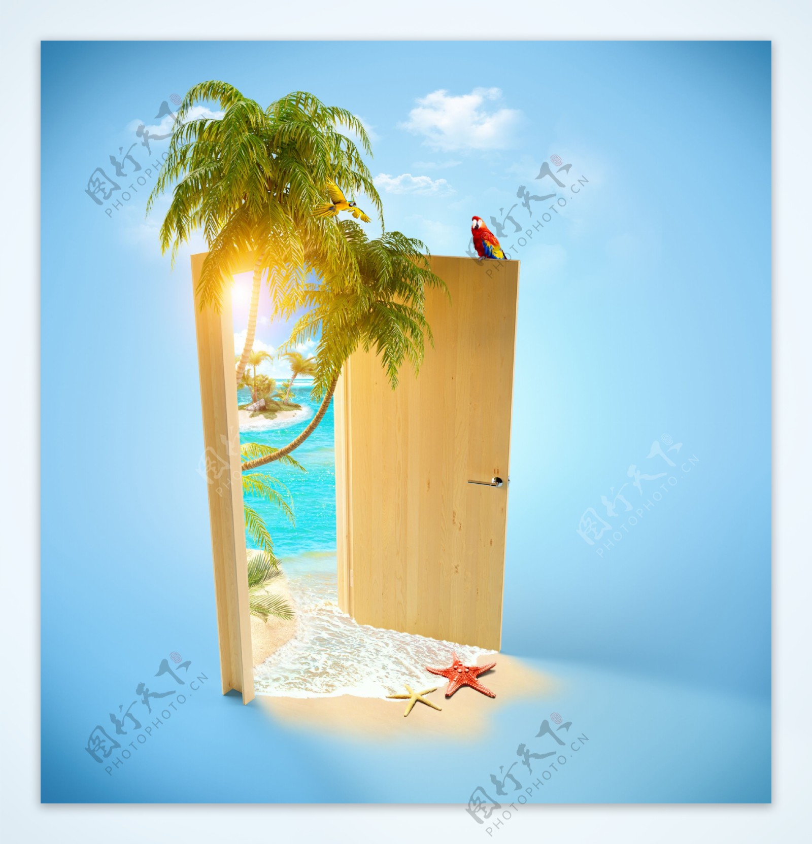 木门外的沙滩椰子树图片
