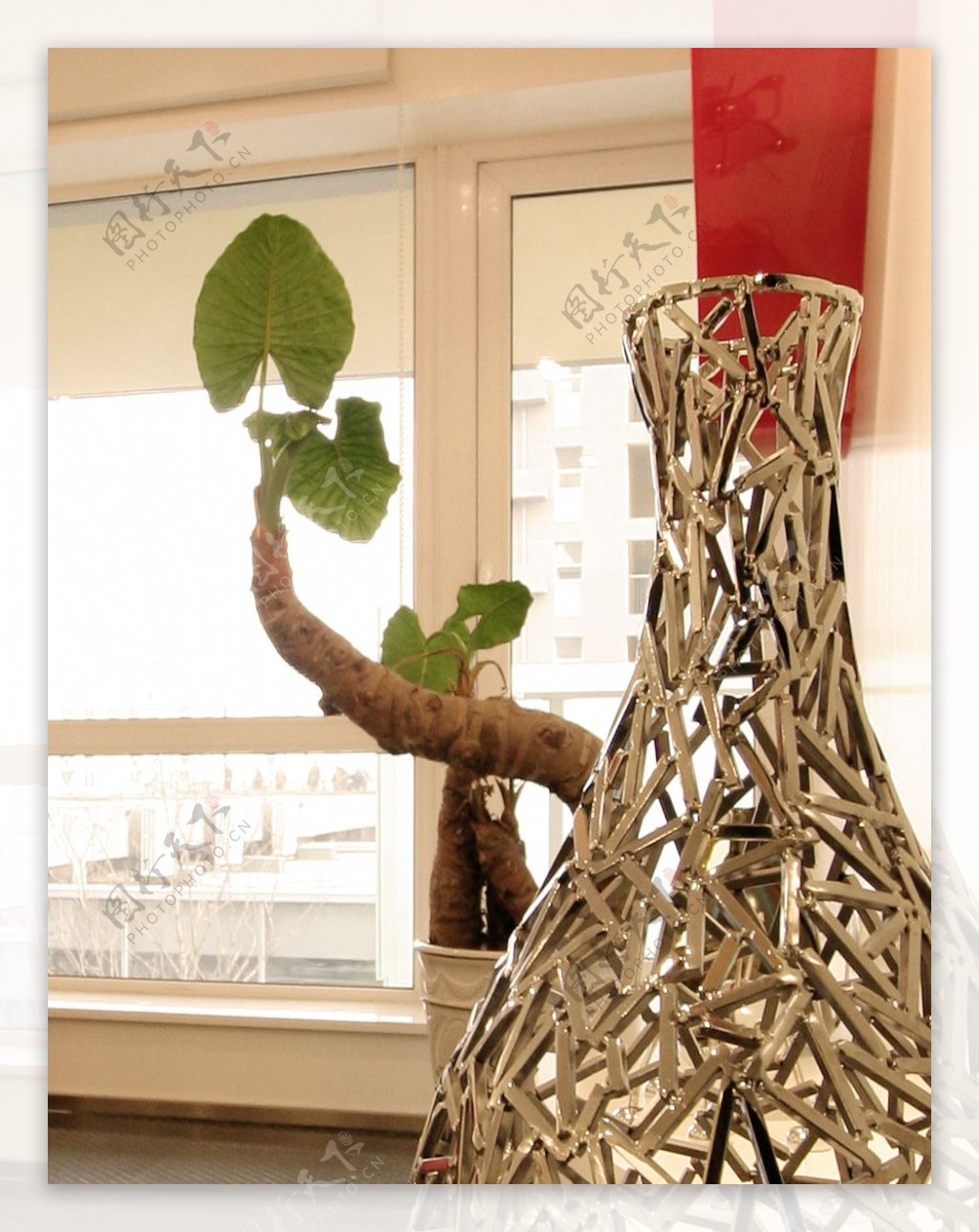 客厅植物与装饰品图片