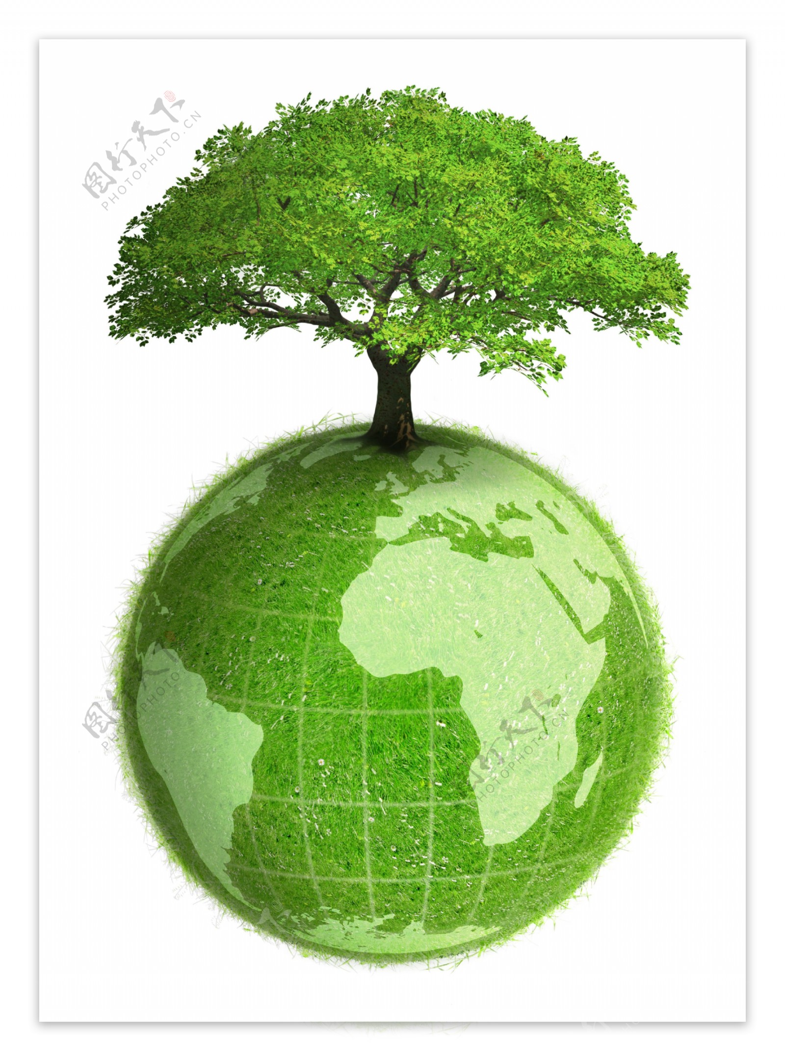 绿色地球上的大树图片