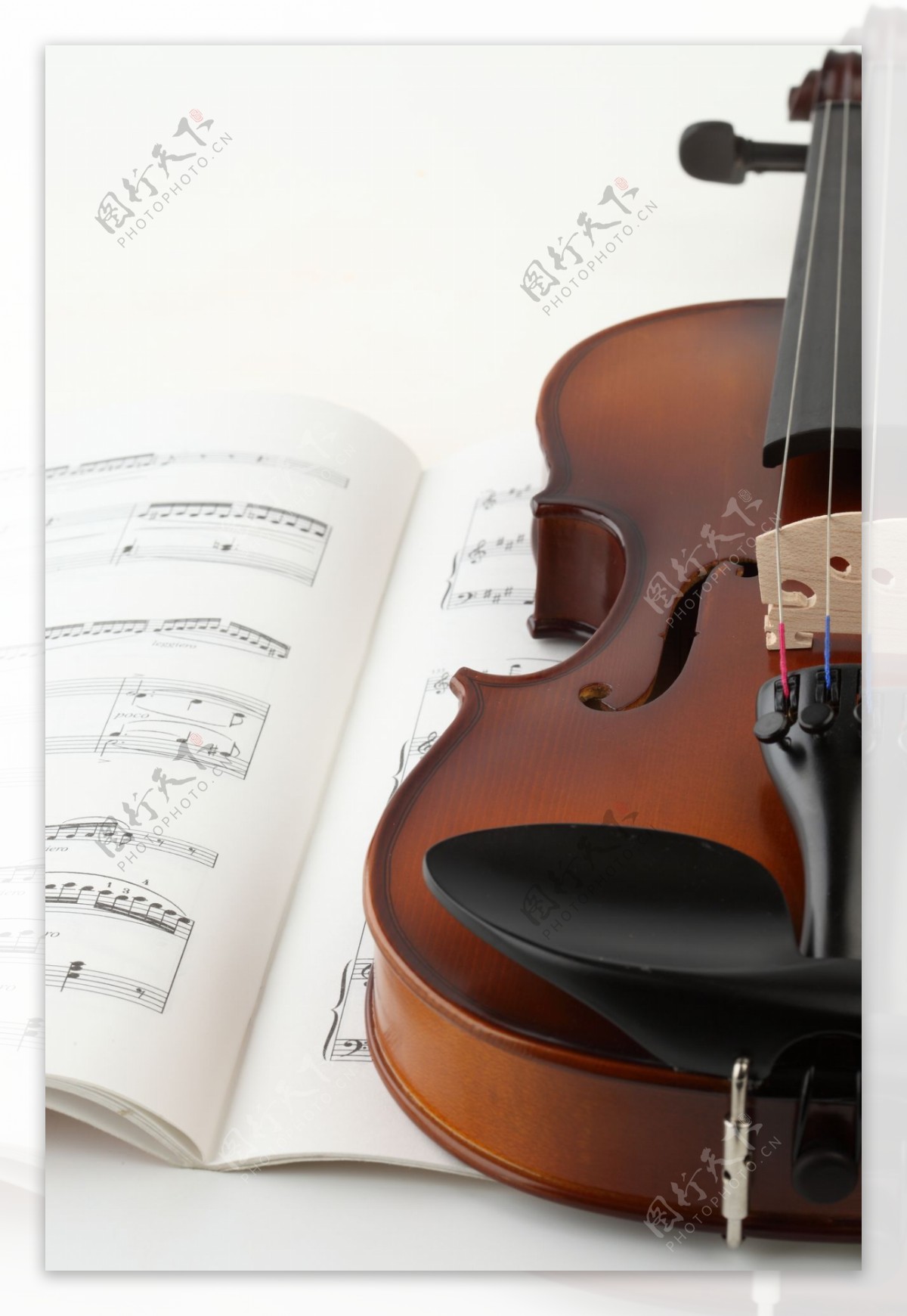 小提琴与音符图片