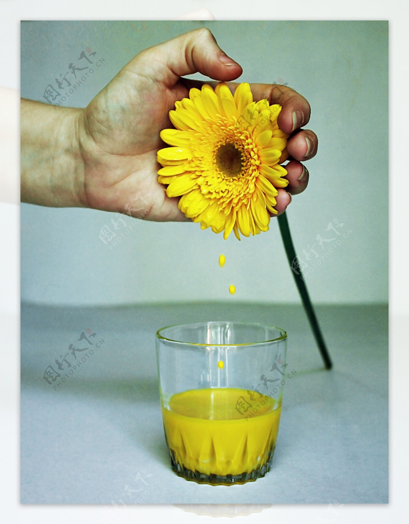 黄色鲜花与黄色颜料图片
