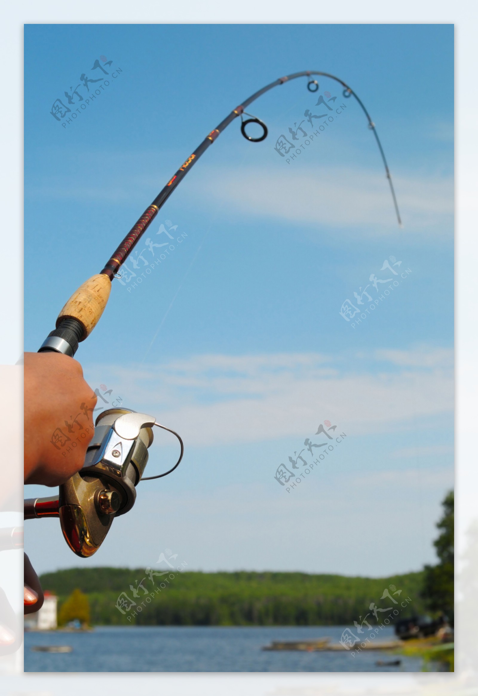 钓鱼的鱼杆图片