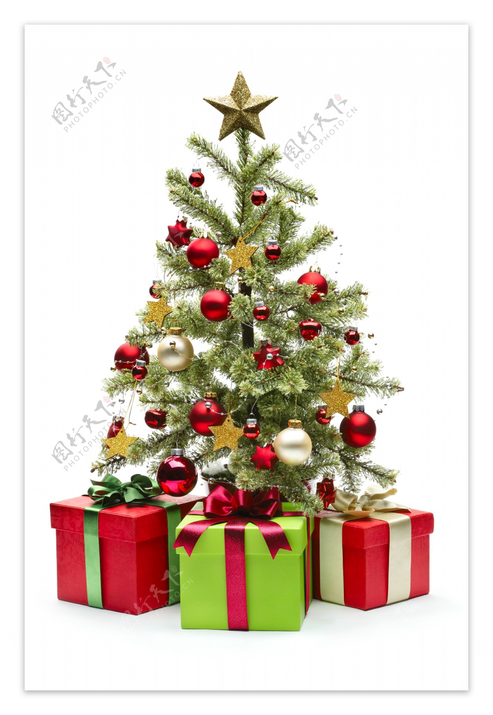 圣诞树与礼品摄影