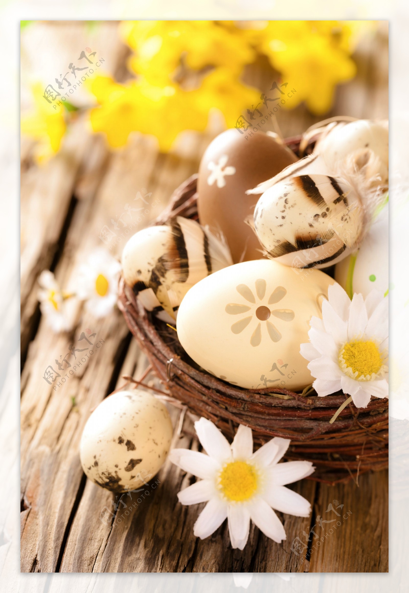 复活节彩蛋与花朵
