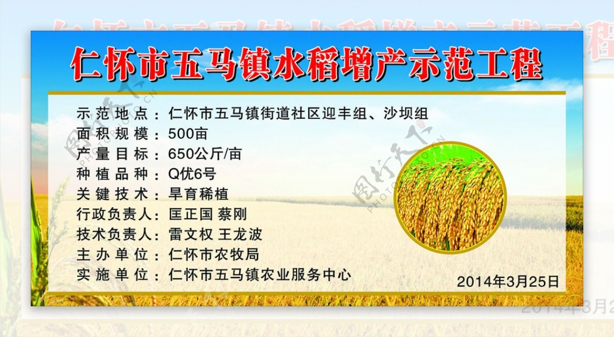 水稻增产示范工程
