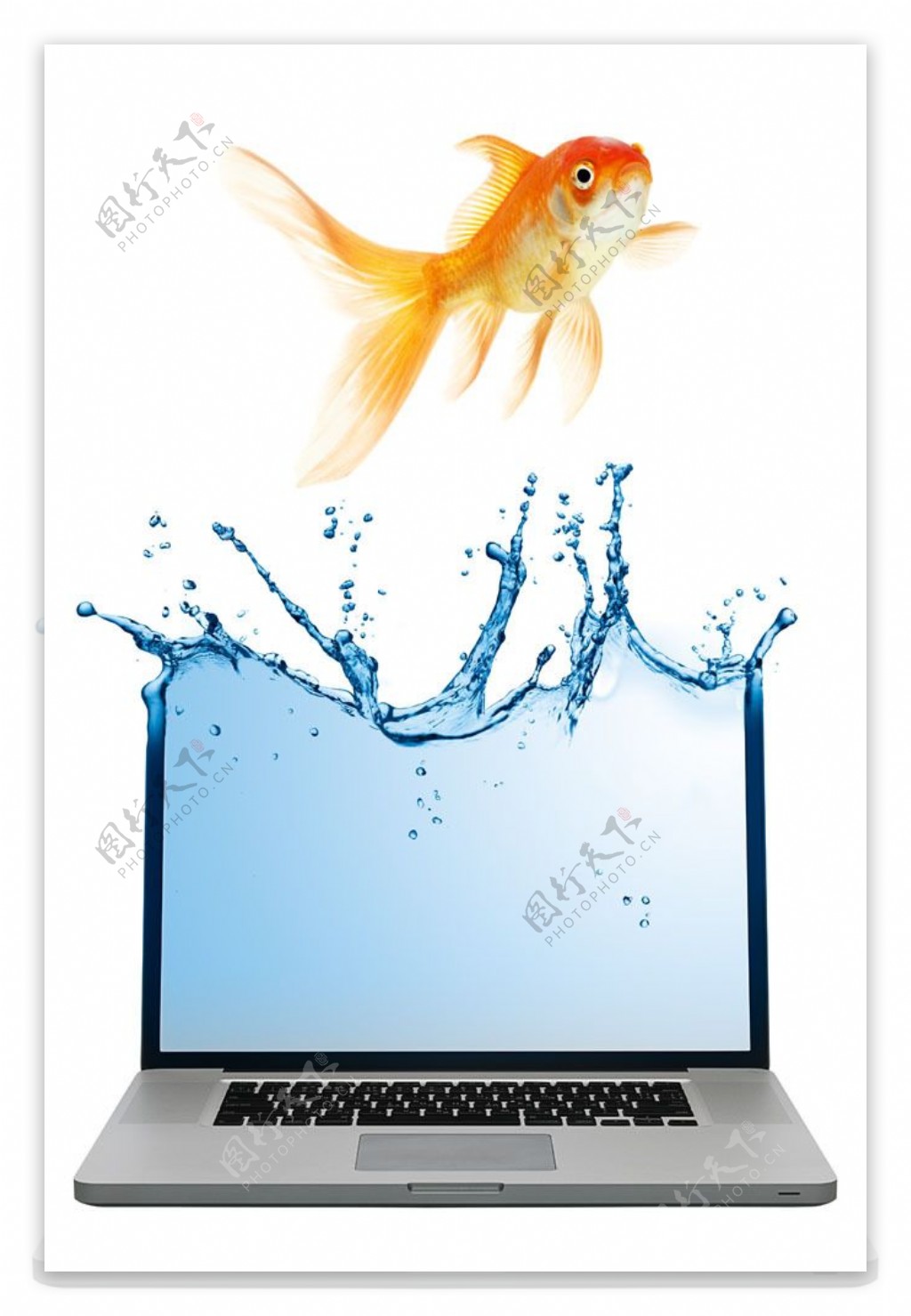 笔记本电脑与金鱼创意广告图片