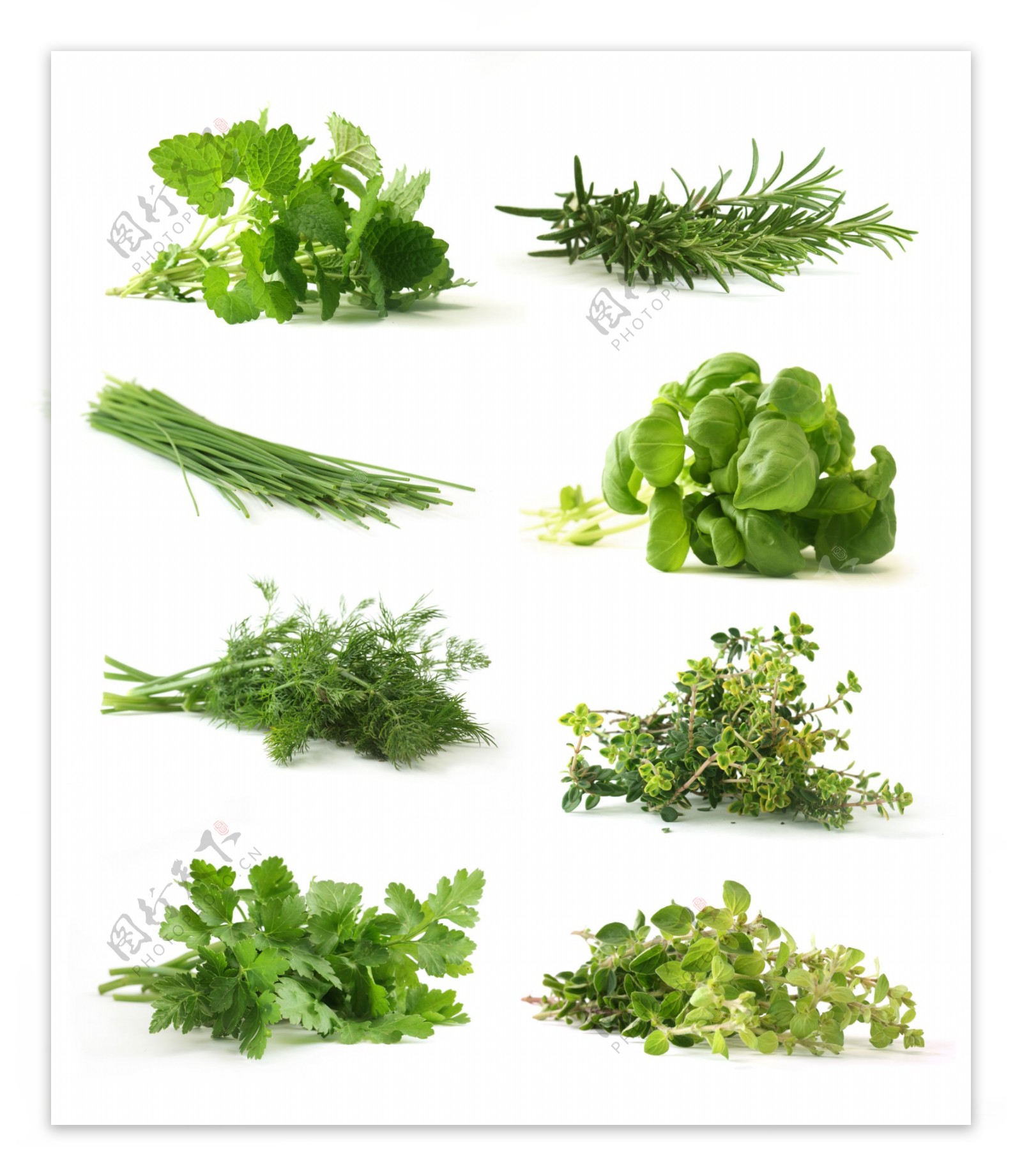 新鲜的绿叶蔬菜图片