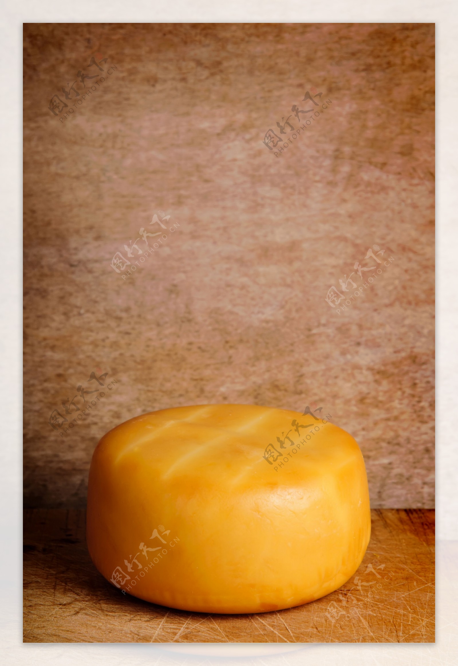 芝士奶酪摄影图片