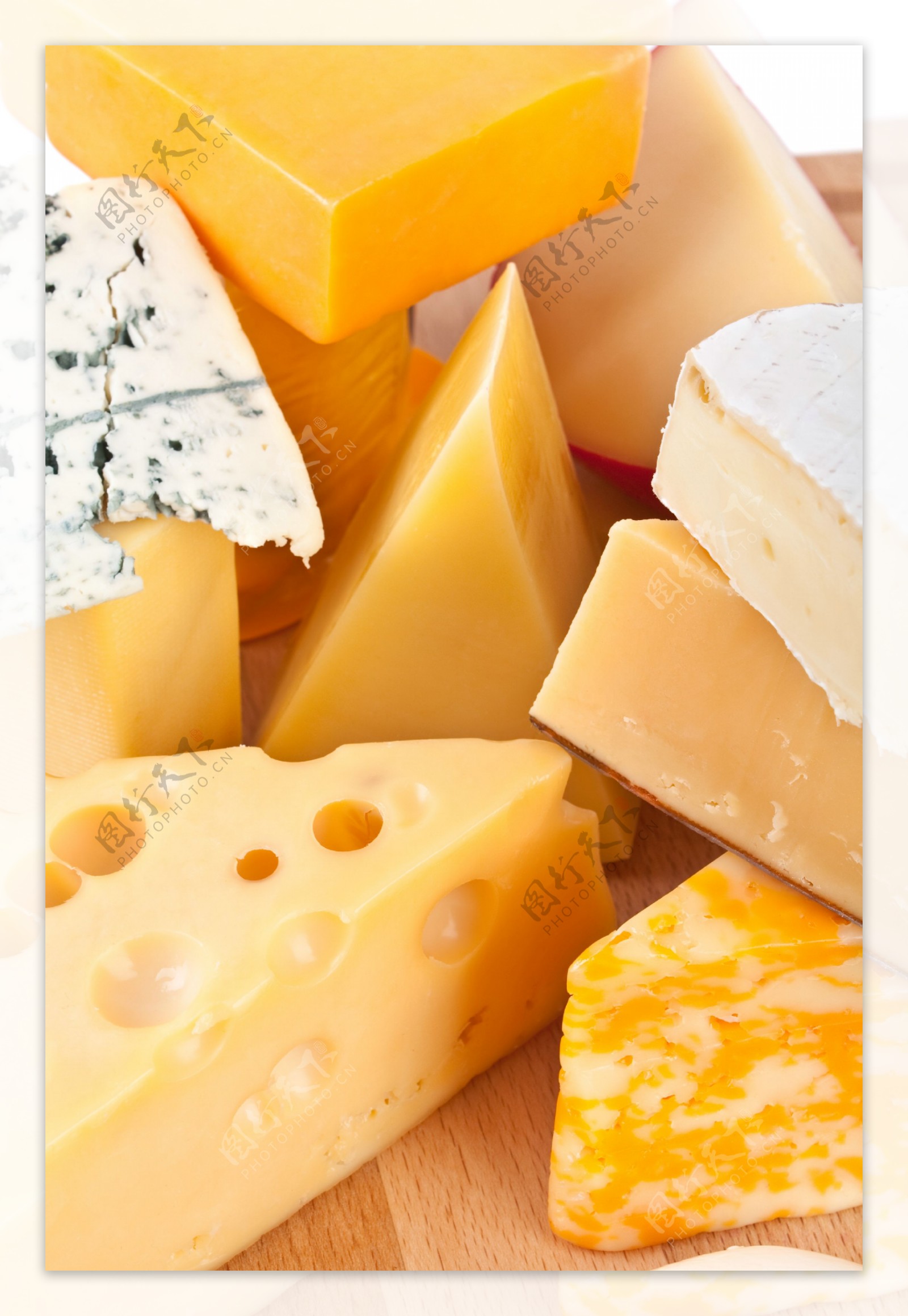 奶酪16图片