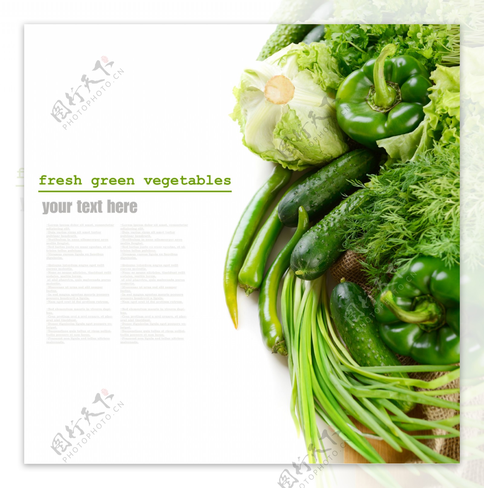 各种绿色蔬菜摄影图片