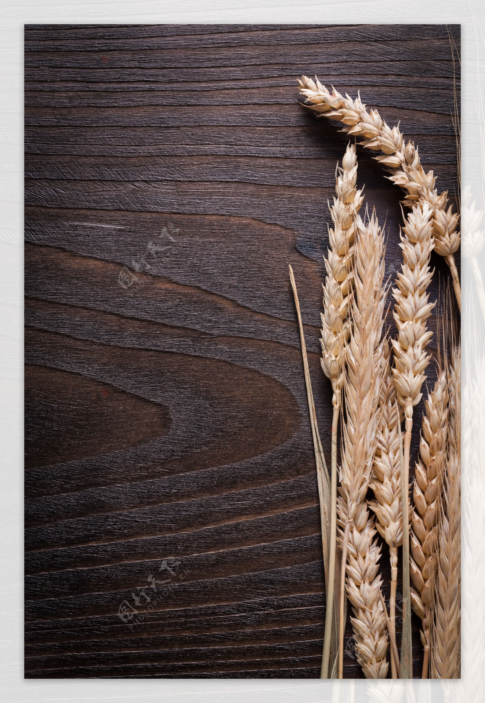 木板上的麦穗图片