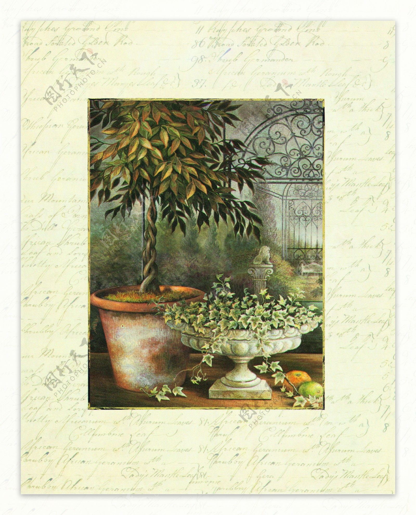 手绘盆景植物素材图片