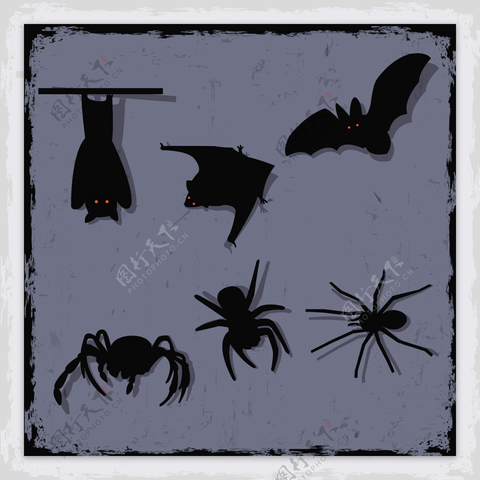 向量组的蜘蛛和蝙蝠