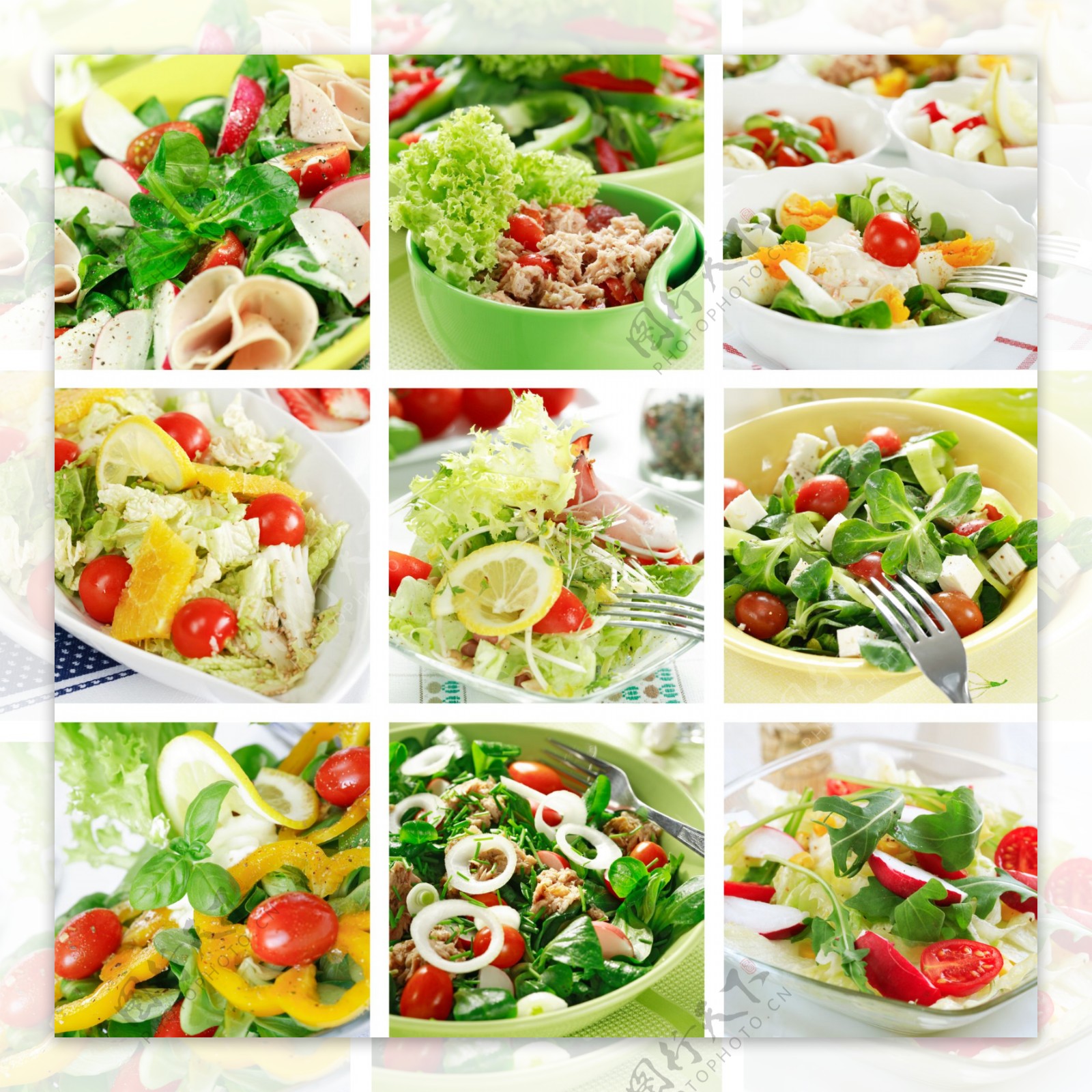 9款美味蔬菜沙拉高清图片