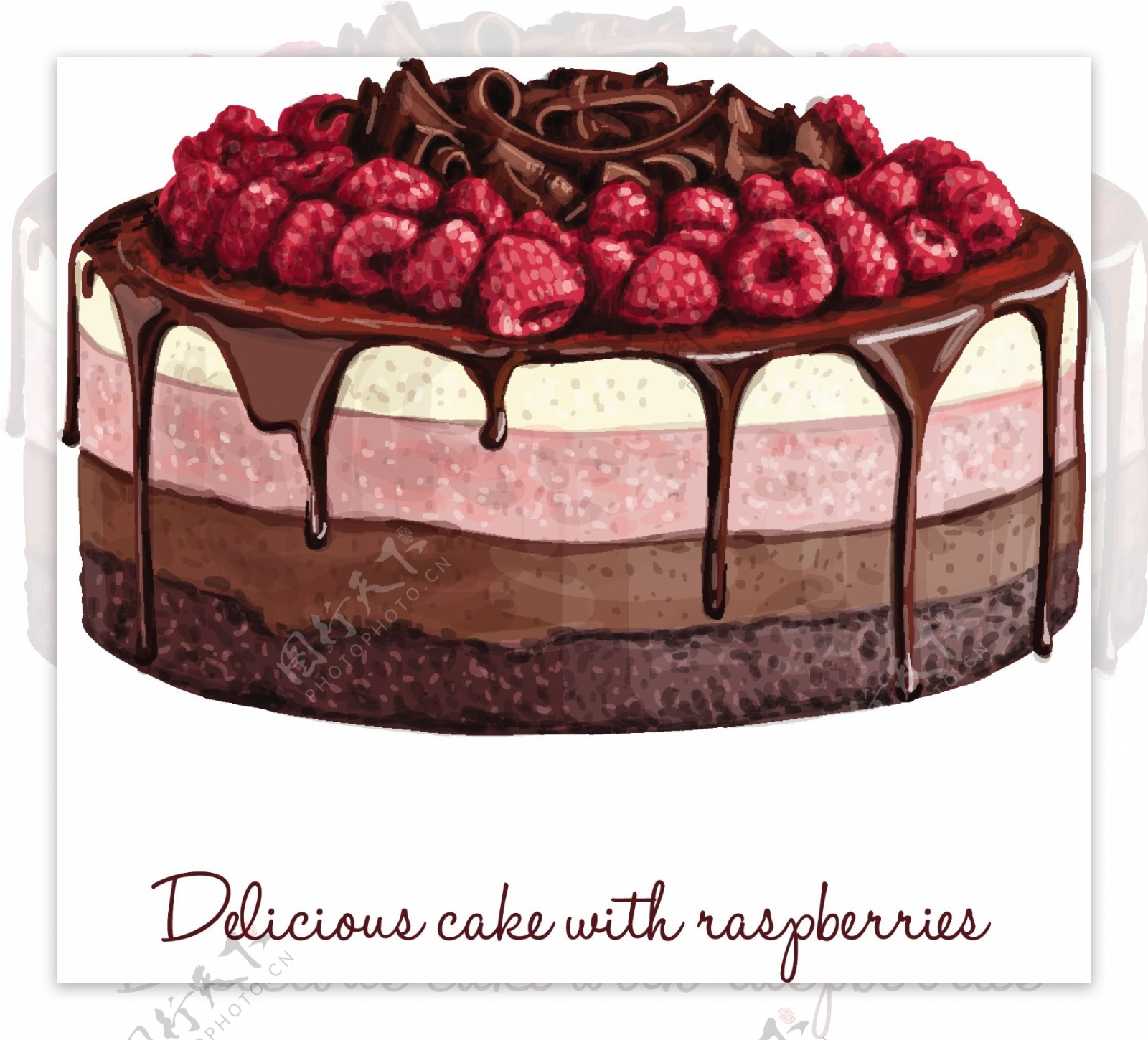 美味的草莓蛋糕矢量素材
