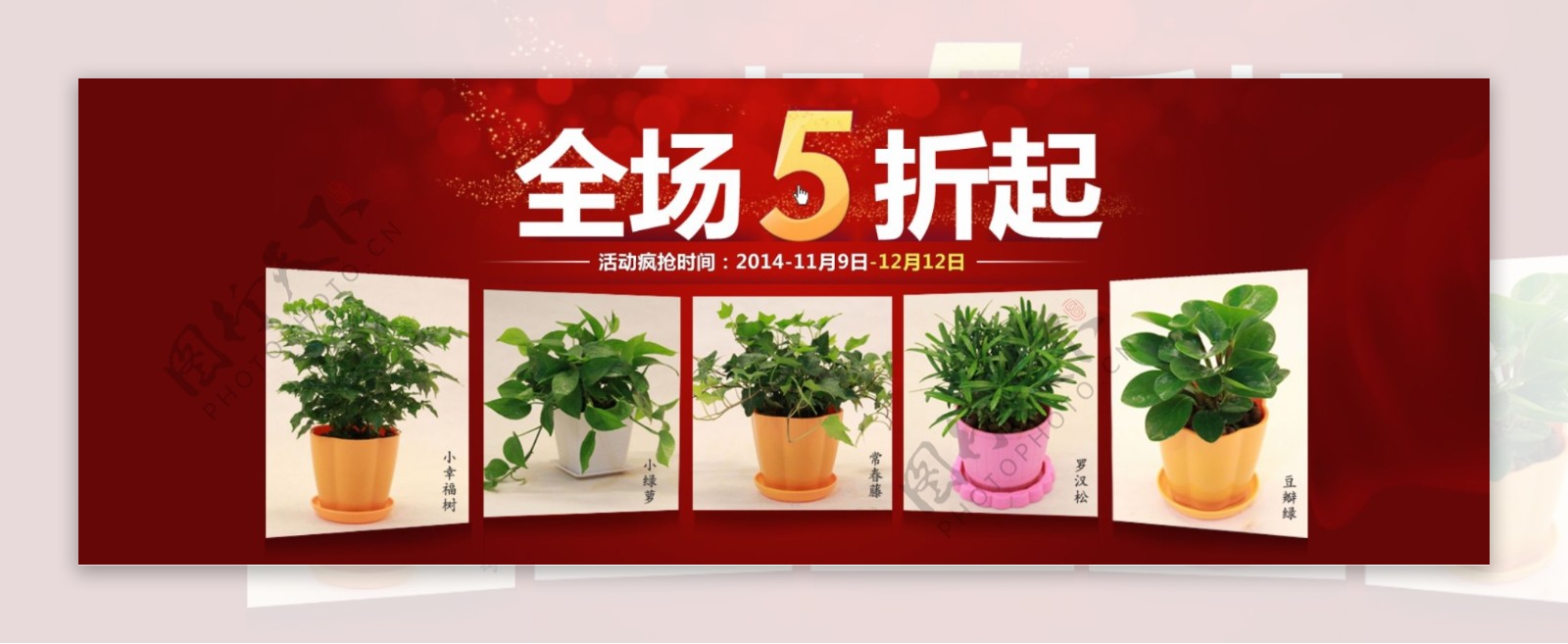 植物花卉新店开业喜庆海报