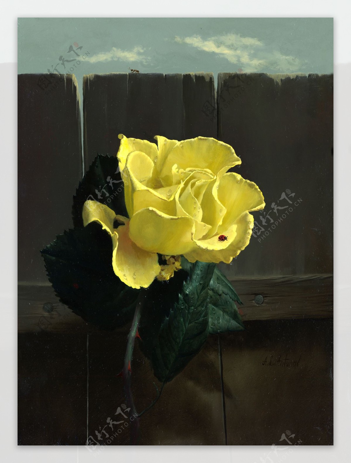 安东诺夫静物油画作品黄玫瑰